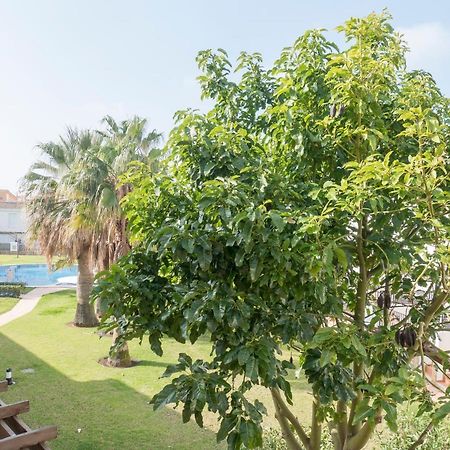 Residencial Marineu Palm Beach II Alcossebre エクステリア 写真